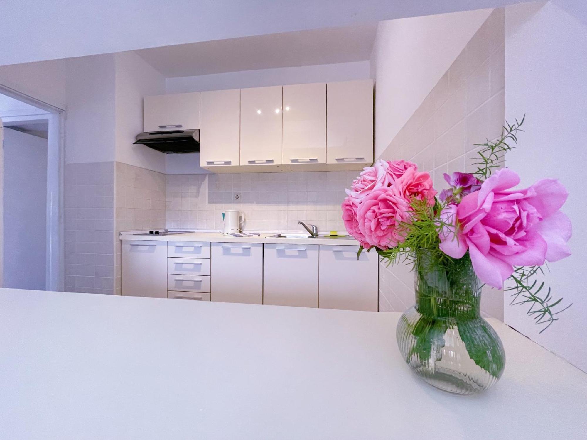 Apartments Villa Marijeta With Free Parking ドゥブロブニク エクステリア 写真